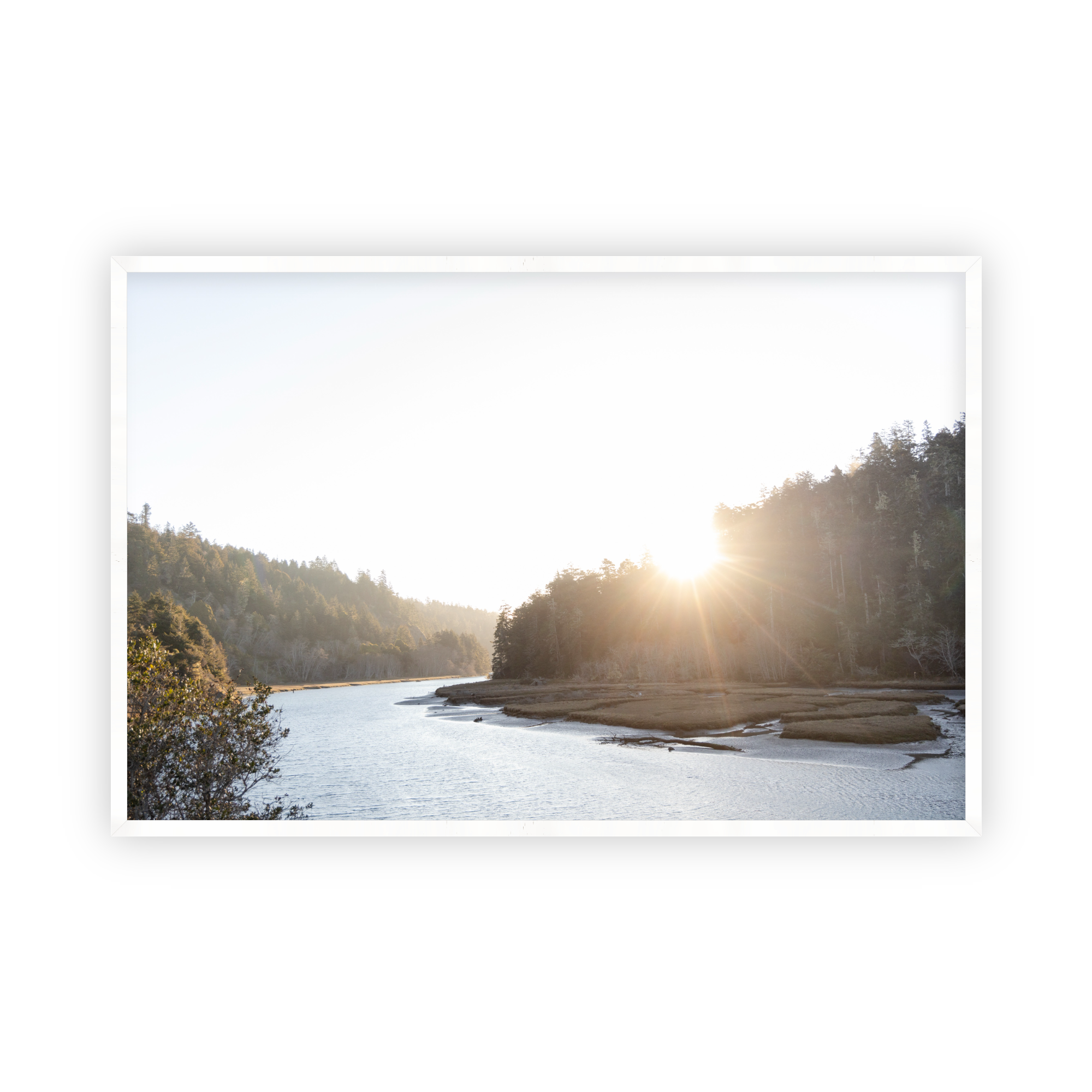 A River Runs Through It by Caroline Pacula - Caroline Pacula - PureSalt1