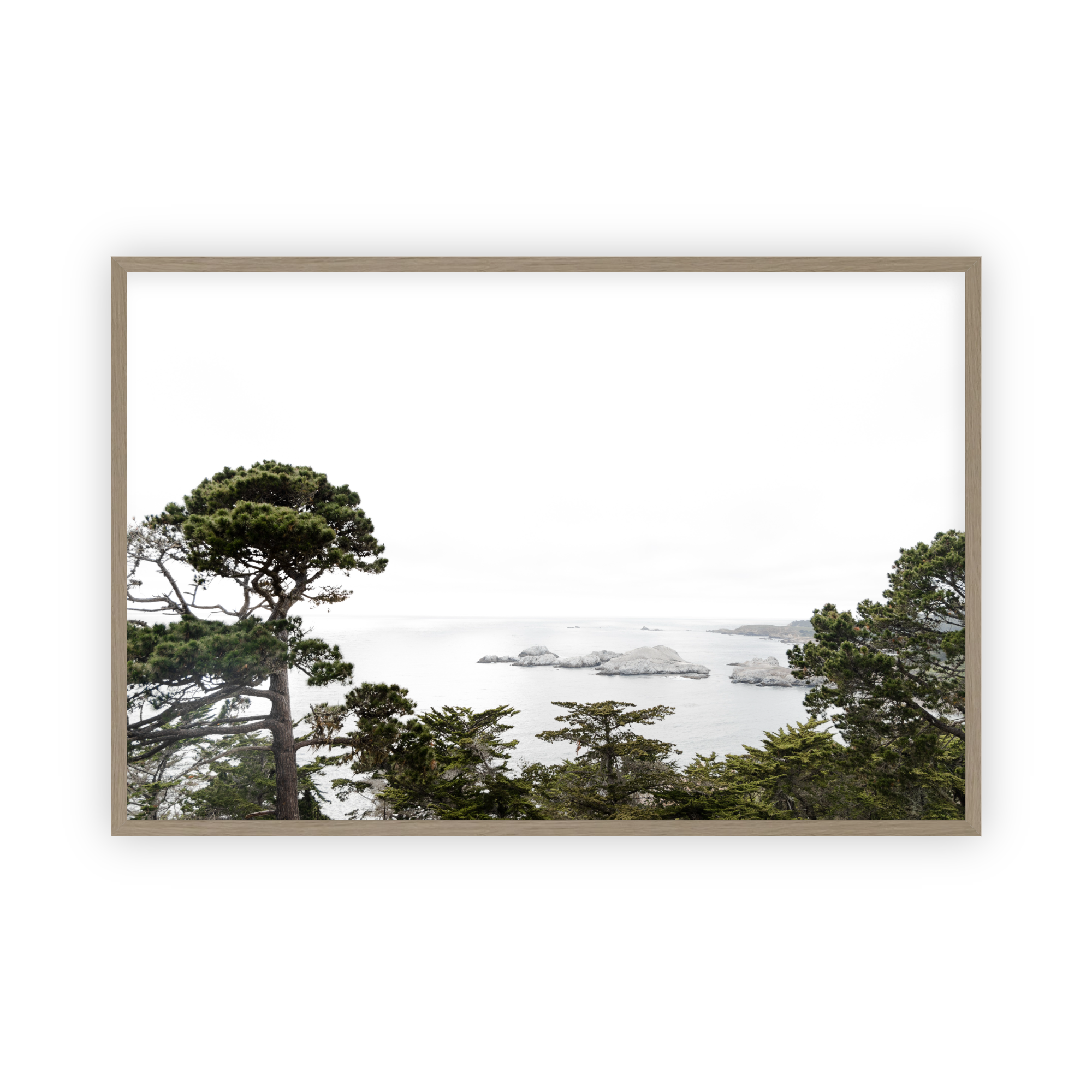 Carmel Vista by Caroline Pacula-Pure Salt