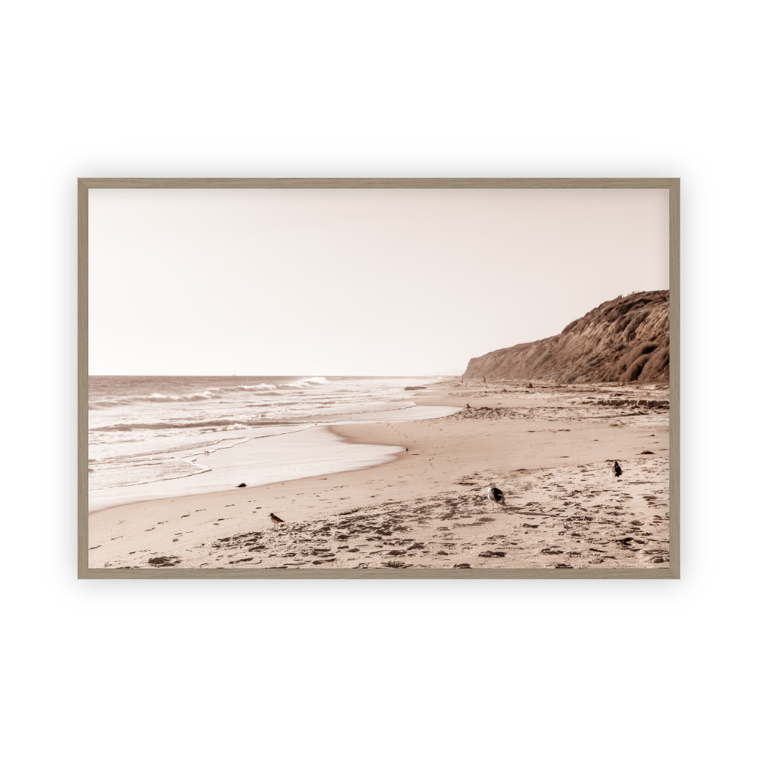 Crystal Cove Beach by Carly Tabak Pure Salt Shoppe