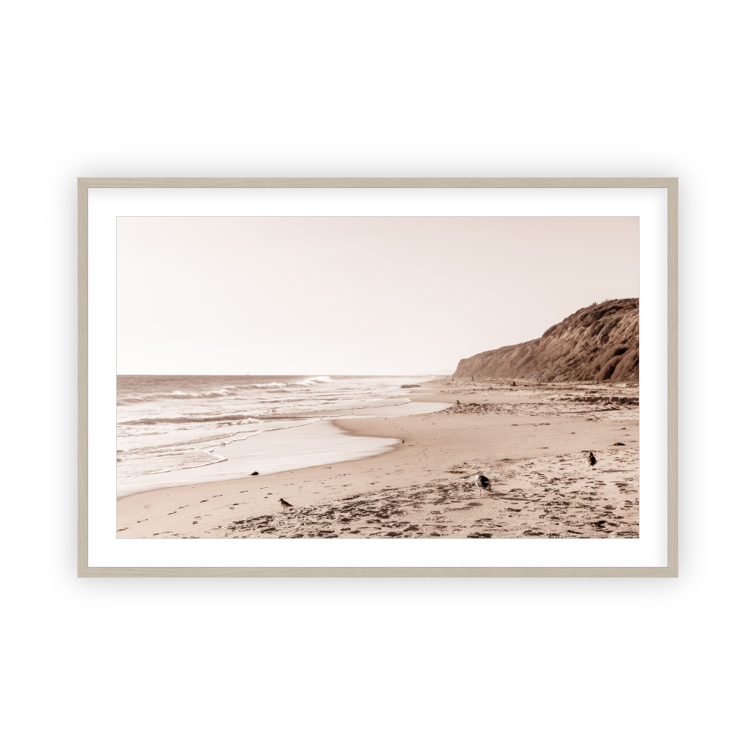 Crystal Cove Beach by Carly Tabak Pure Salt Shoppe