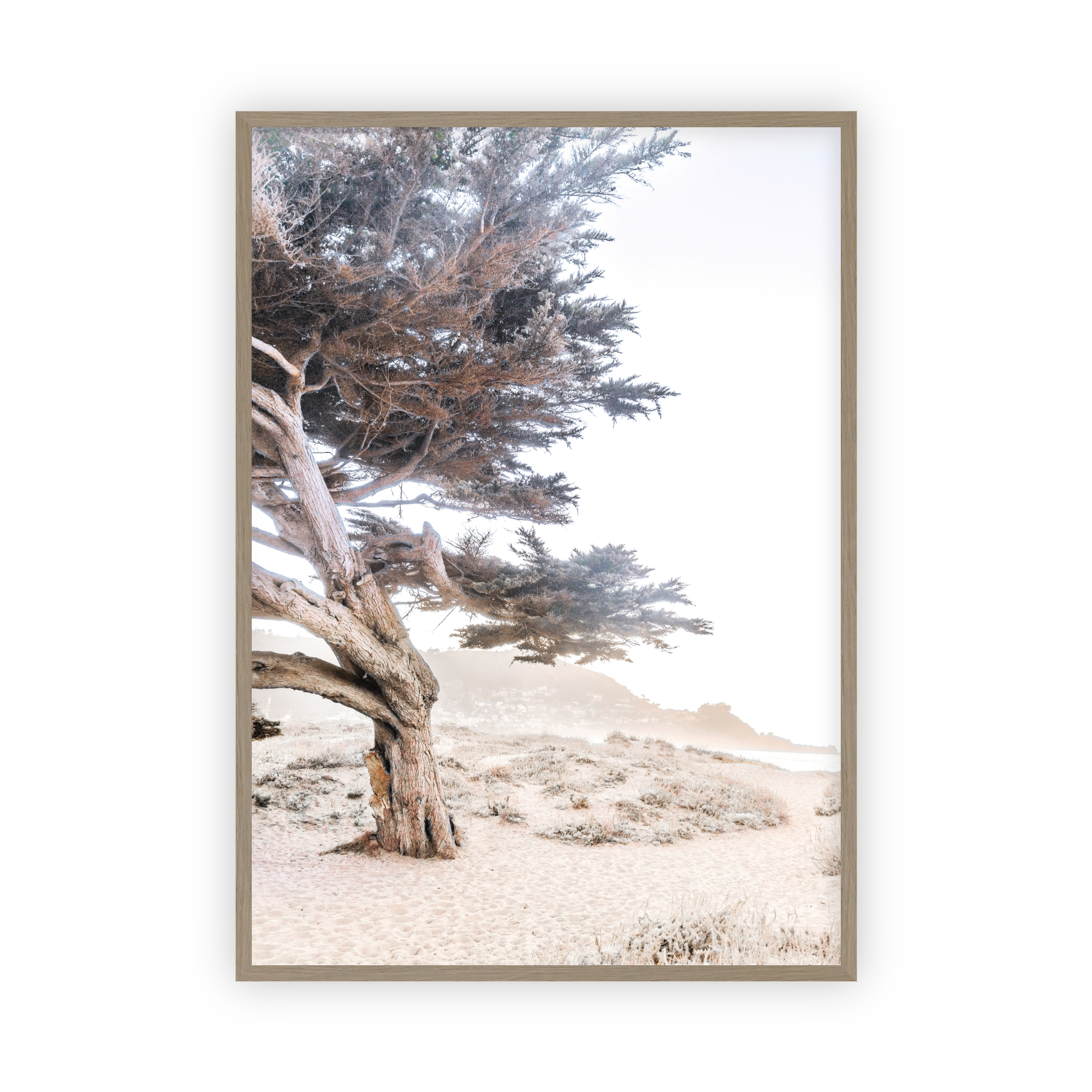 Cypress Tree by Caroline Pacula-Pure Salt