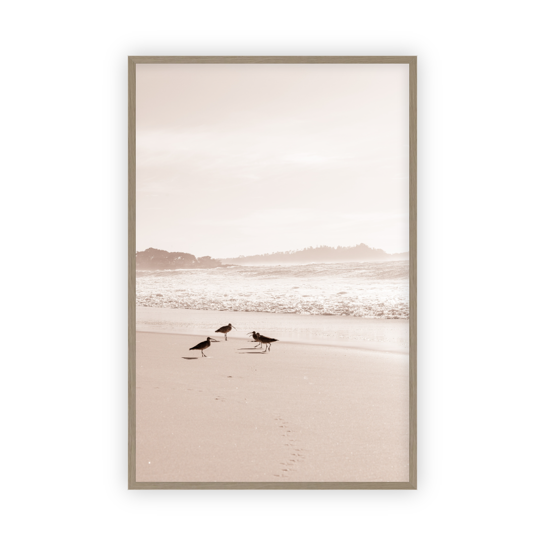 Golden Coast by Carly Tabak Salt Shoppe