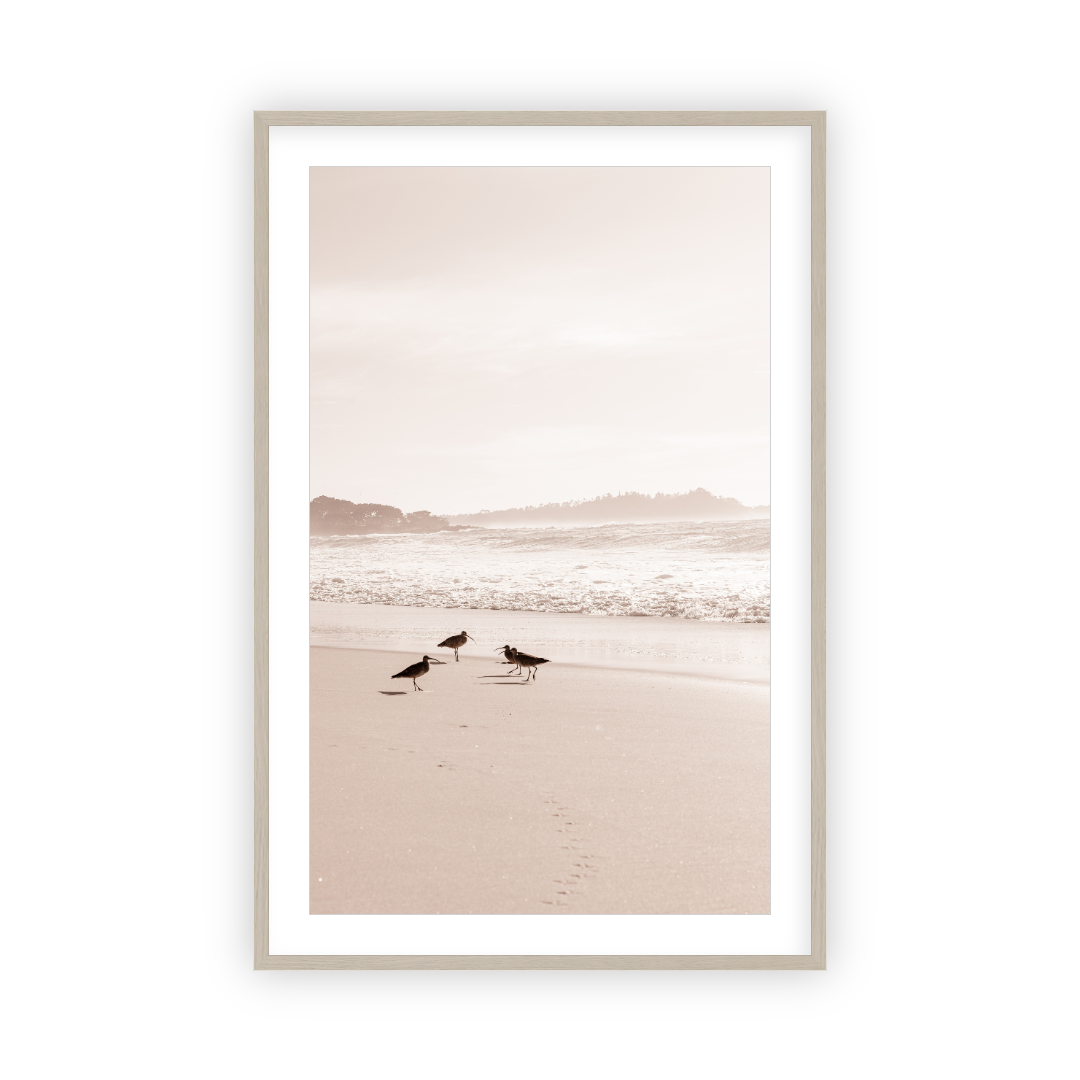 Golden Coast by Carly Tabak Salt Shoppe