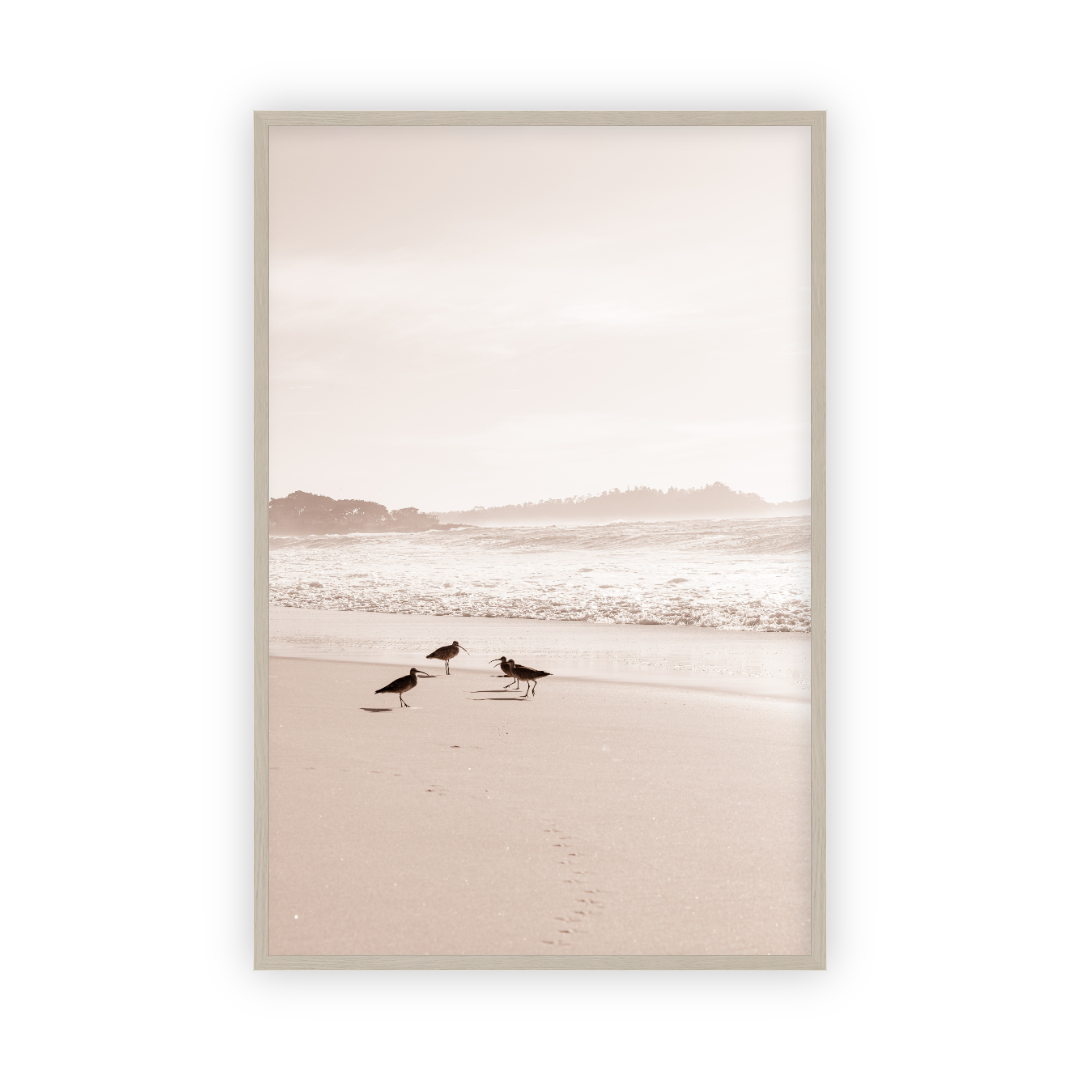 Golden Coast by Carly Tabak Salt Shoppe