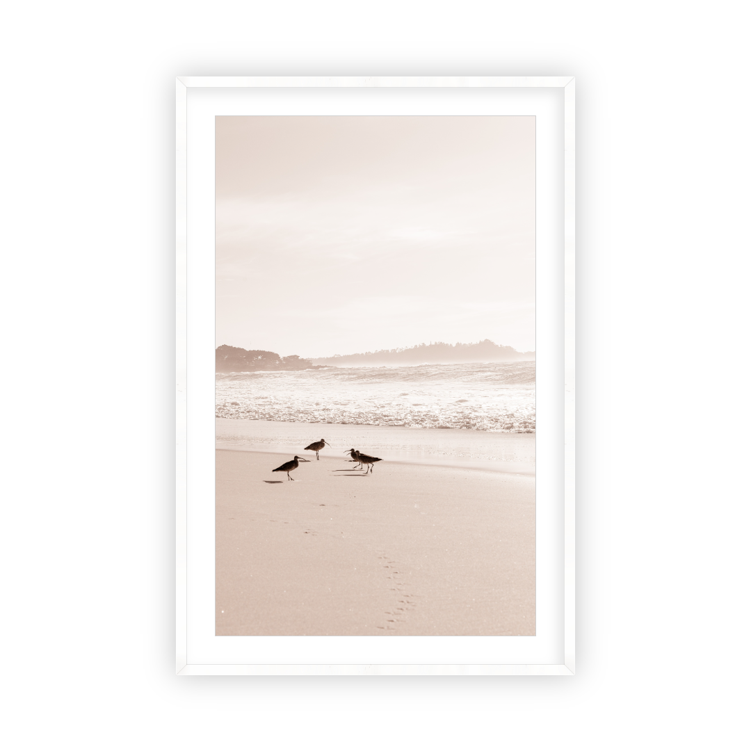 Golden Coast by Carly Tabak Salt Shoppe