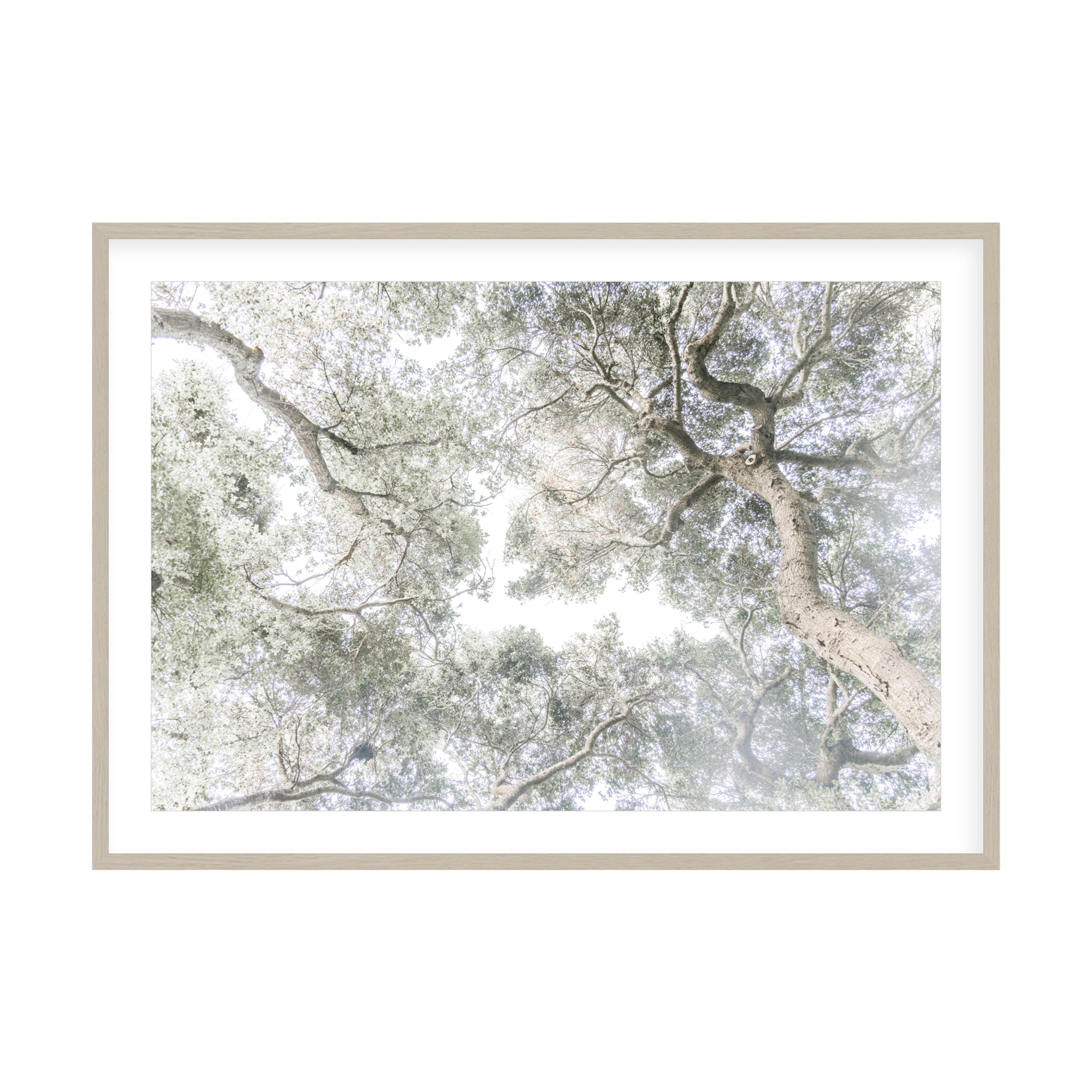 Whispering Light by Caroline Pacula Pure Salt Shoppe