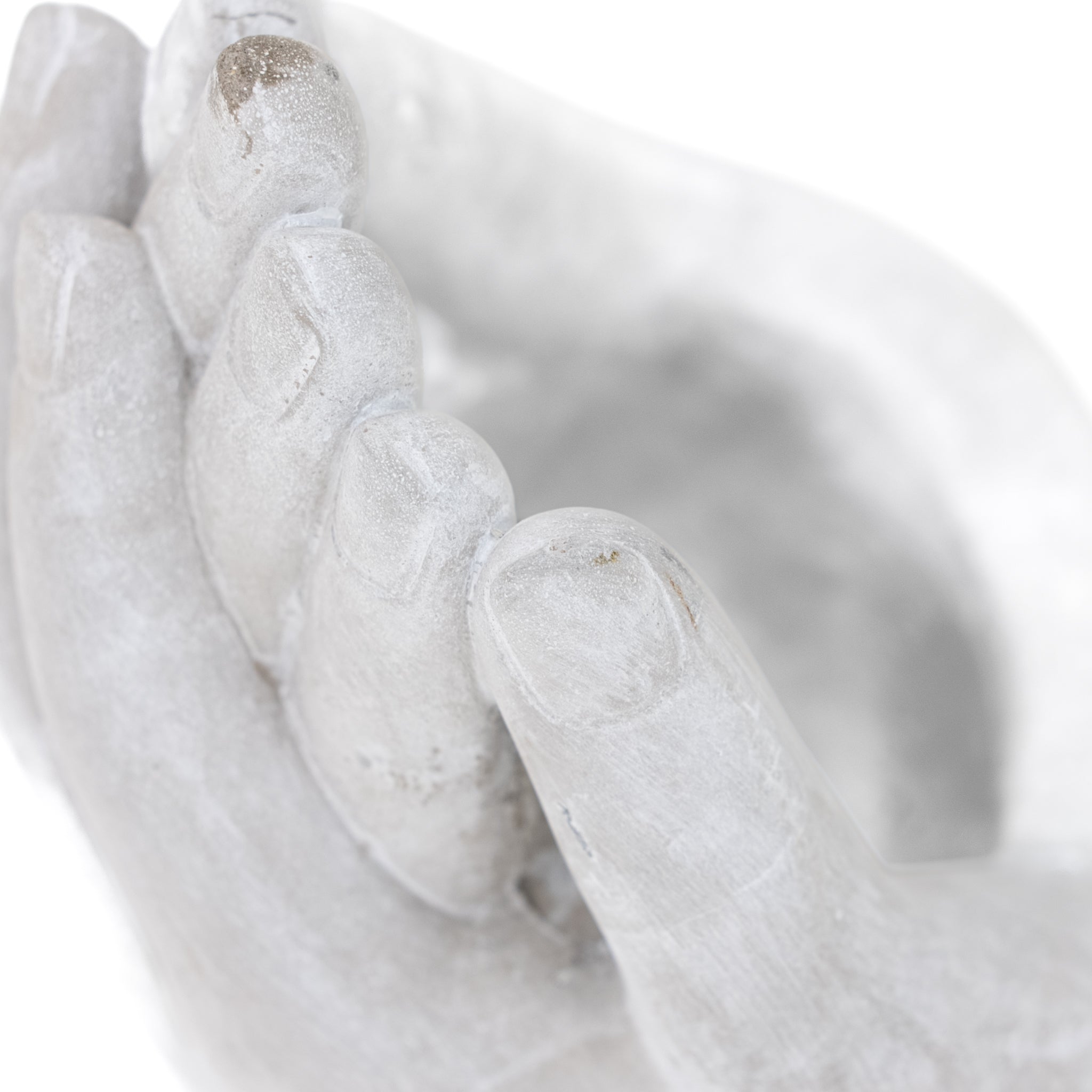 Palms Planter - Pure Salt Shoppe