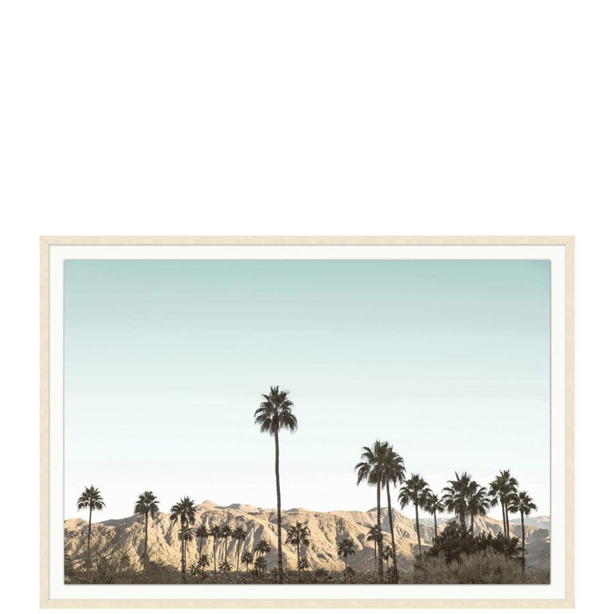 A Day in Palm Springs - Pure Salt Shoppe