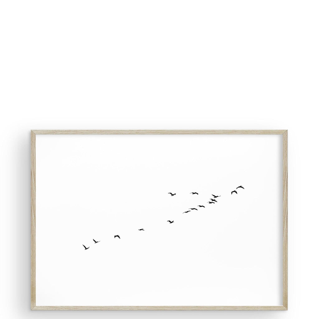 Birds of a Feather San Francisco by Carly Tabak - Pure Salt Shoppe