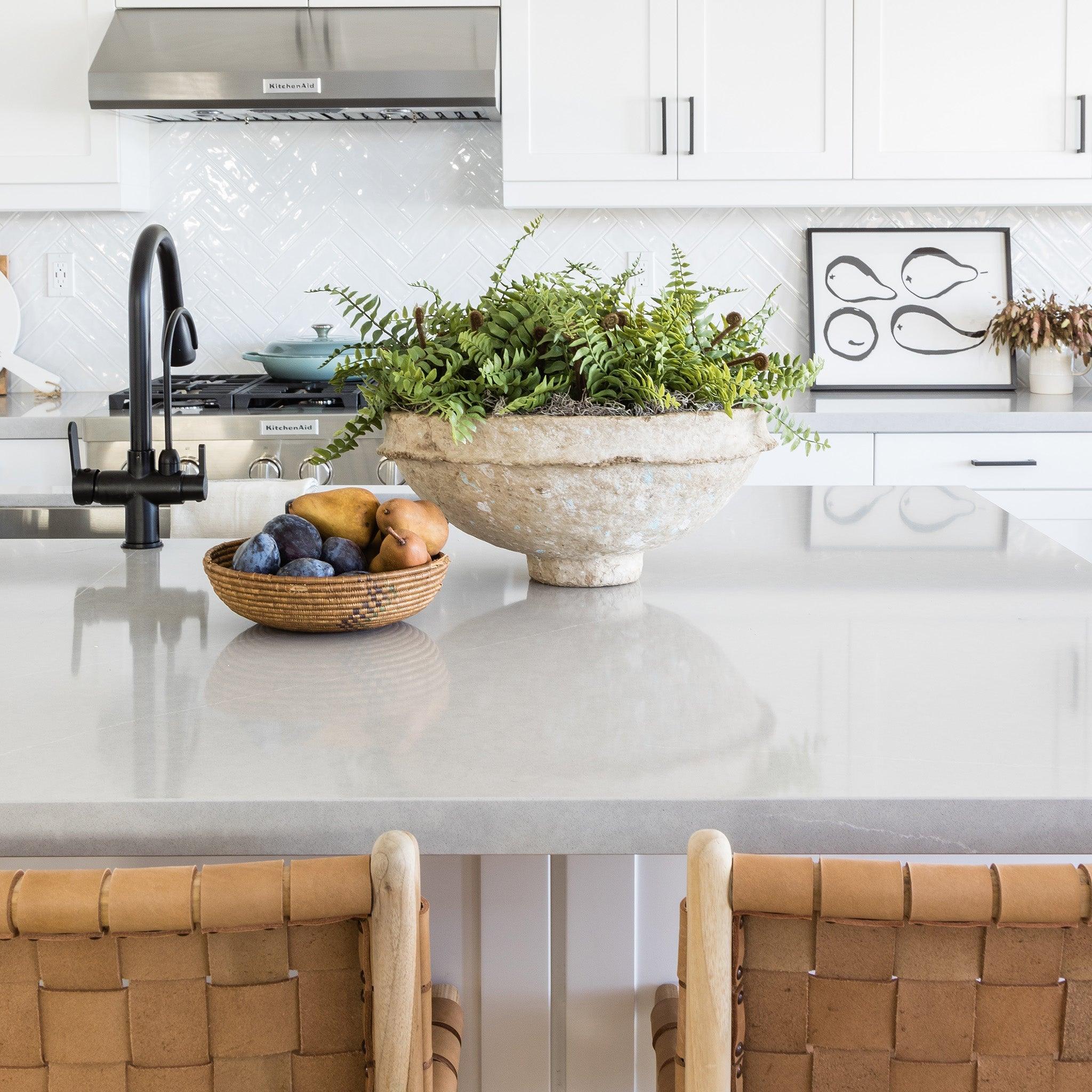 Boston Fern Drop-In 11" - Pure Salt Shoppe