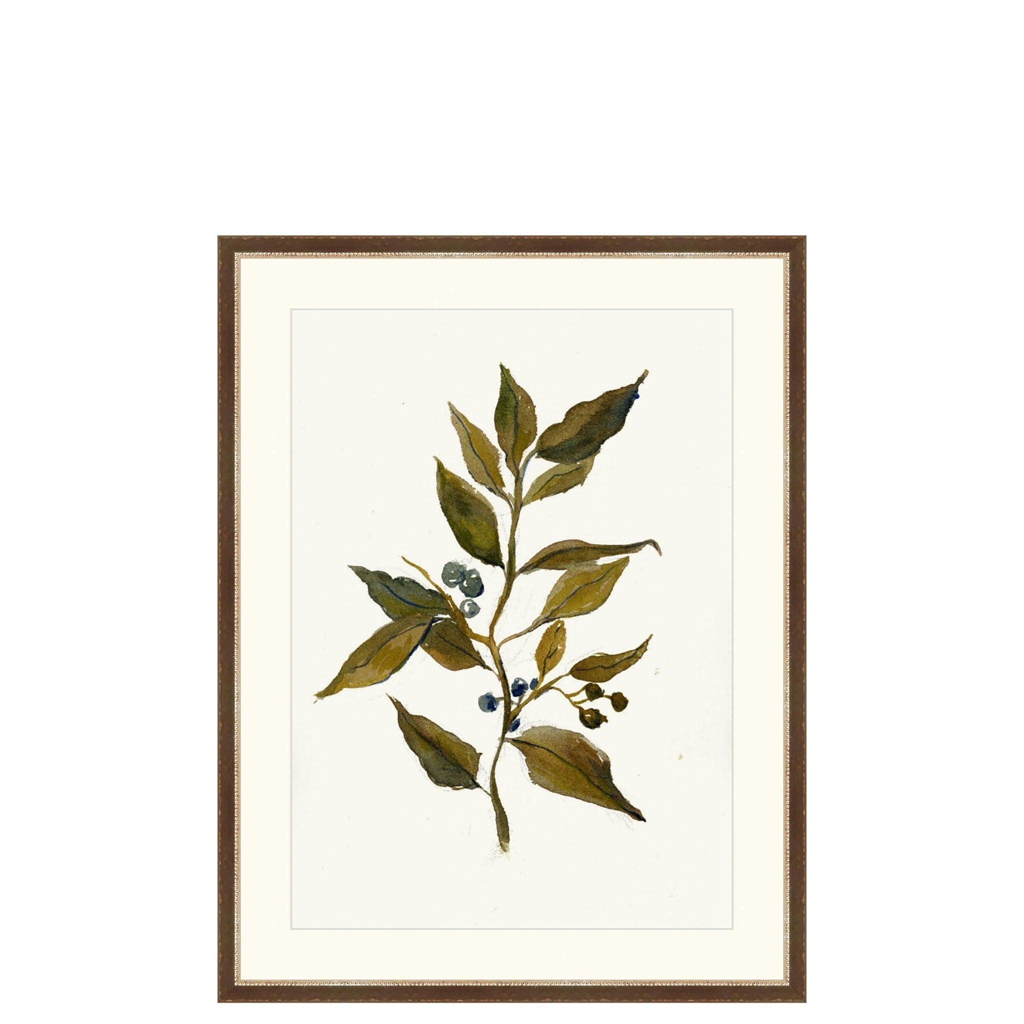 Branch Drawing - Pure Salt Shoppe