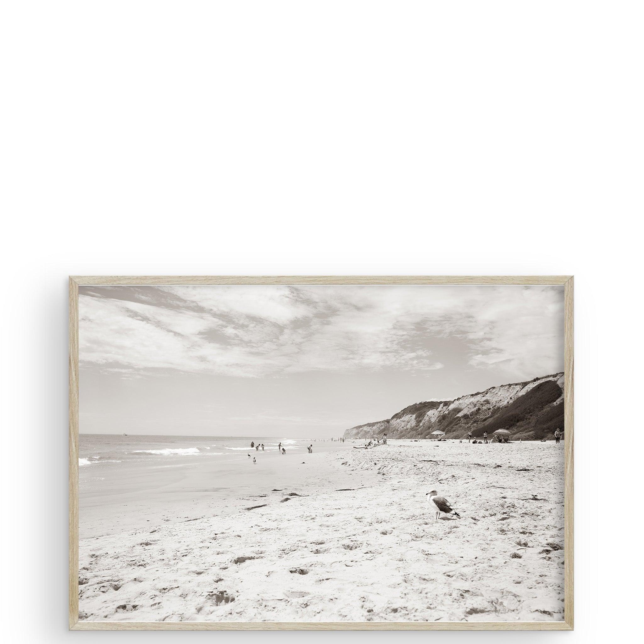 Crystal Cove Newport Beach CA by Carly Tabak - Pure Salt Shoppe