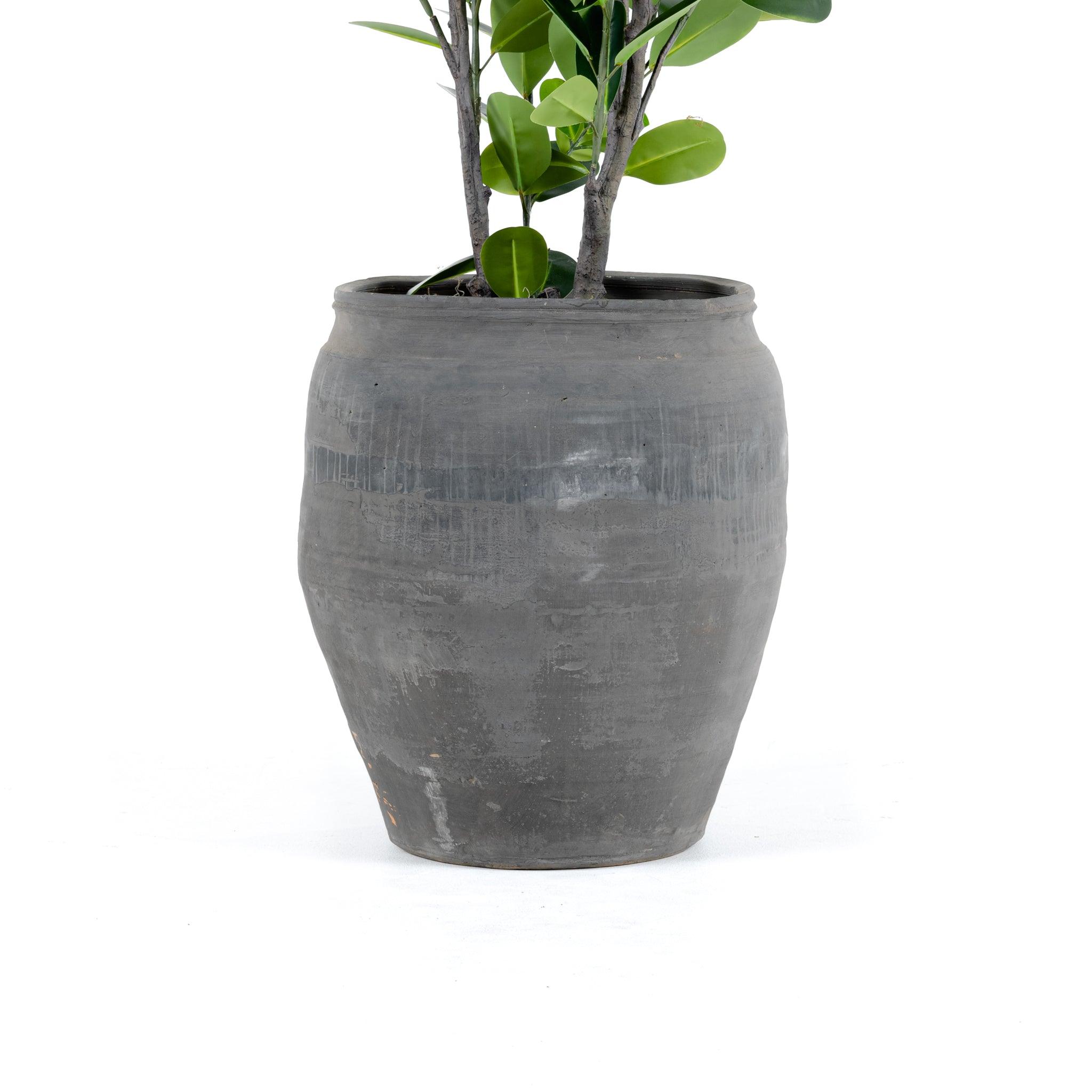 Darcy Pot - Pure Salt Shoppe