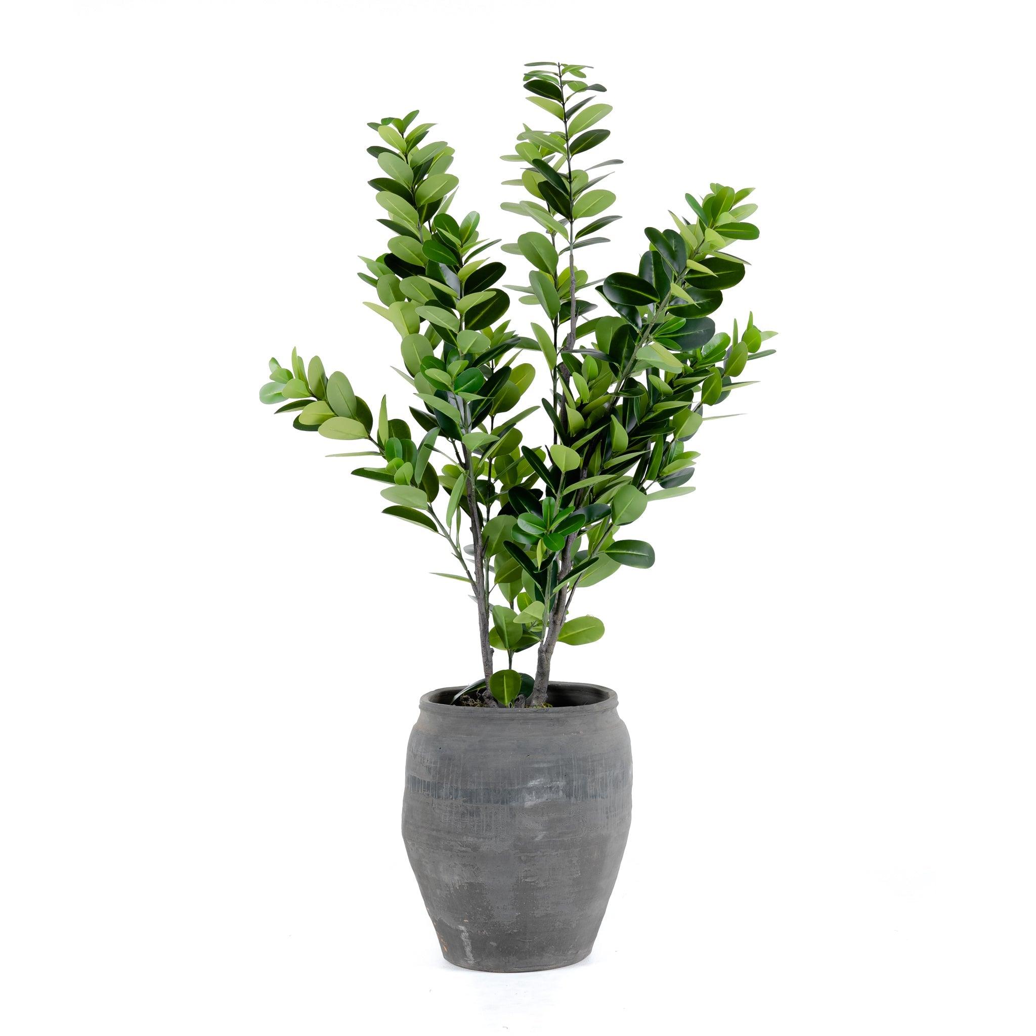 Darcy Pot - Pure Salt Shoppe