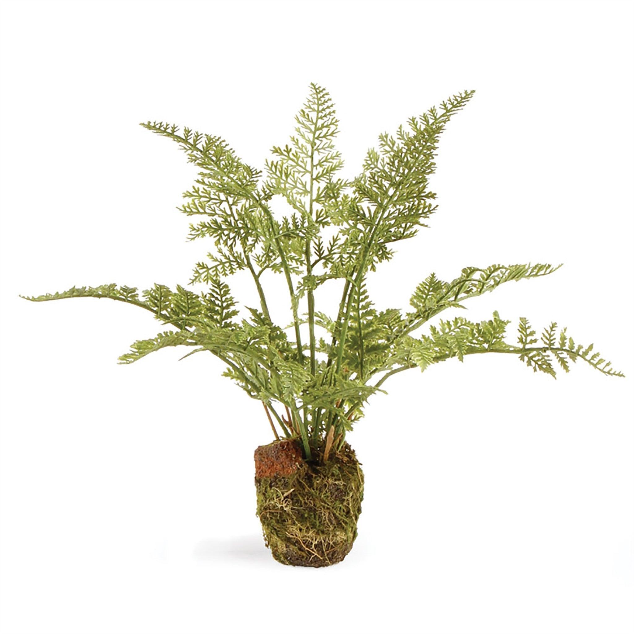 Fern Drop-In, Small - Pure Salt Shoppe