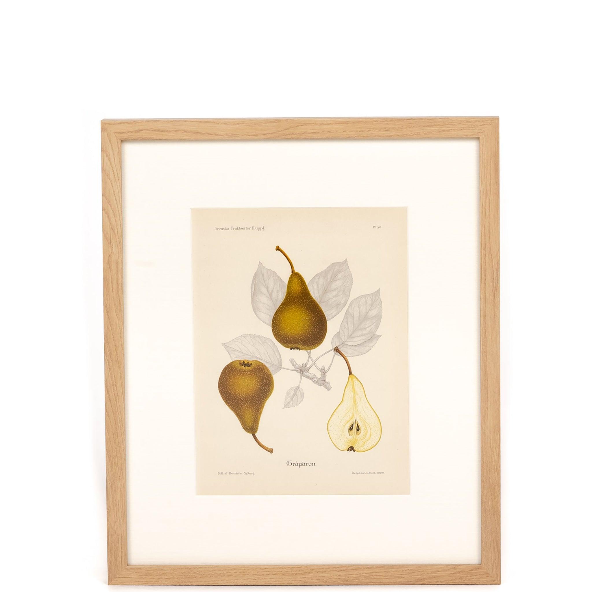 Fruit Print - Pure Salt Shoppe