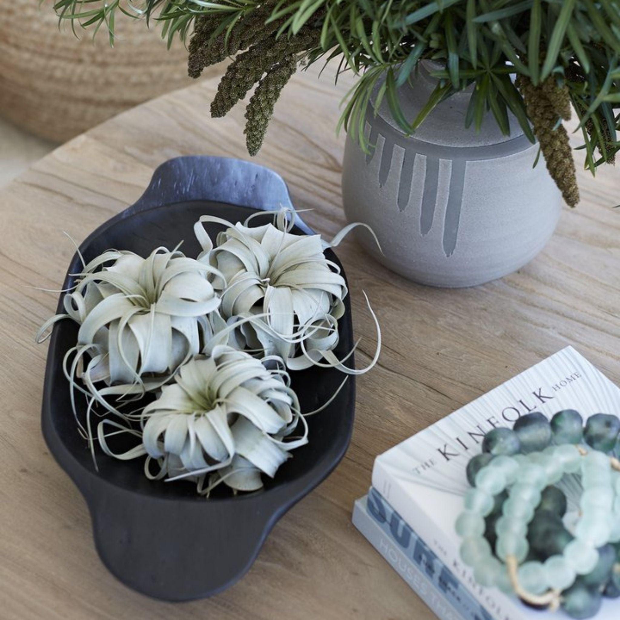 Krista Tray - Pure Salt Shoppe