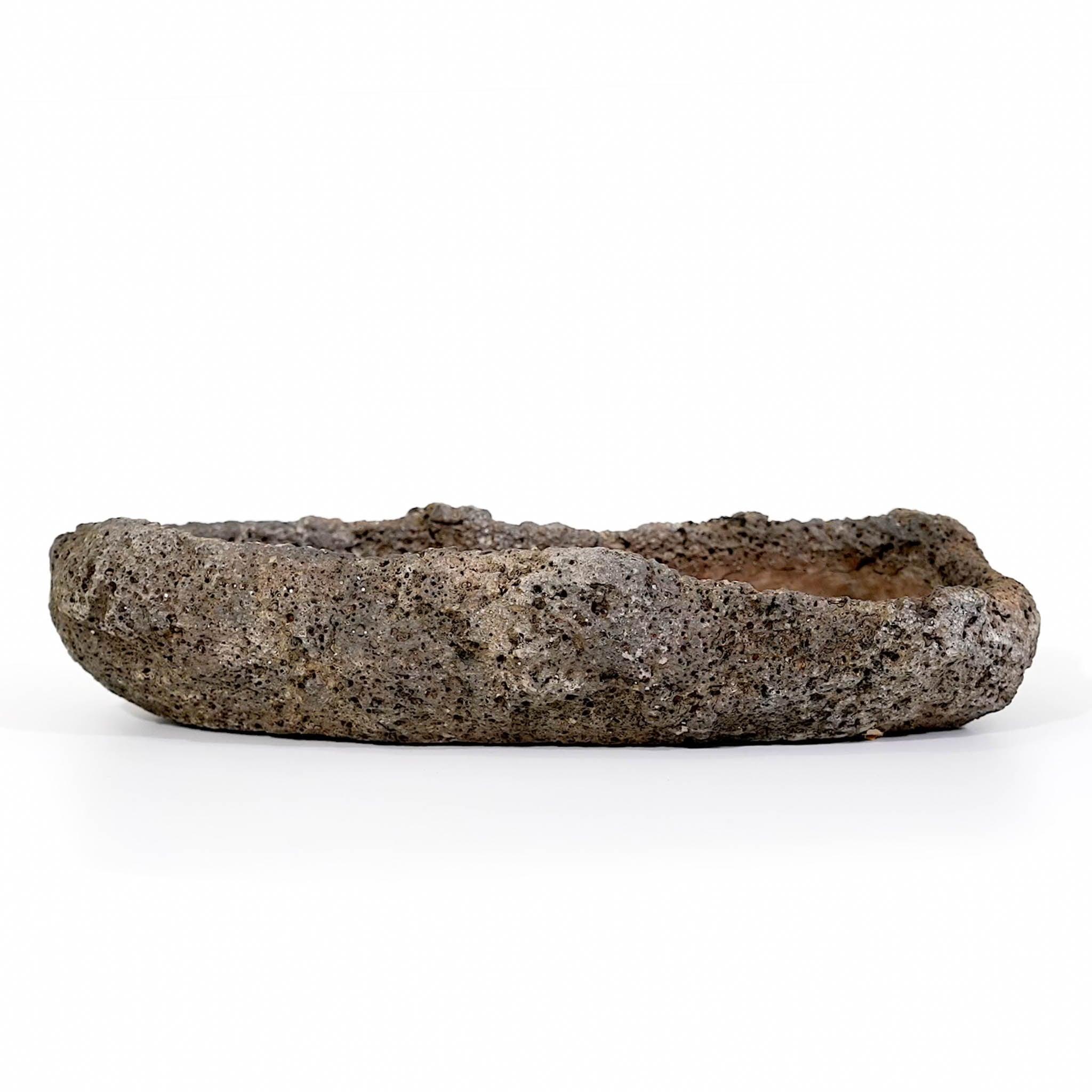Maui Lava Stone Planter - Pure Salt Shoppe
