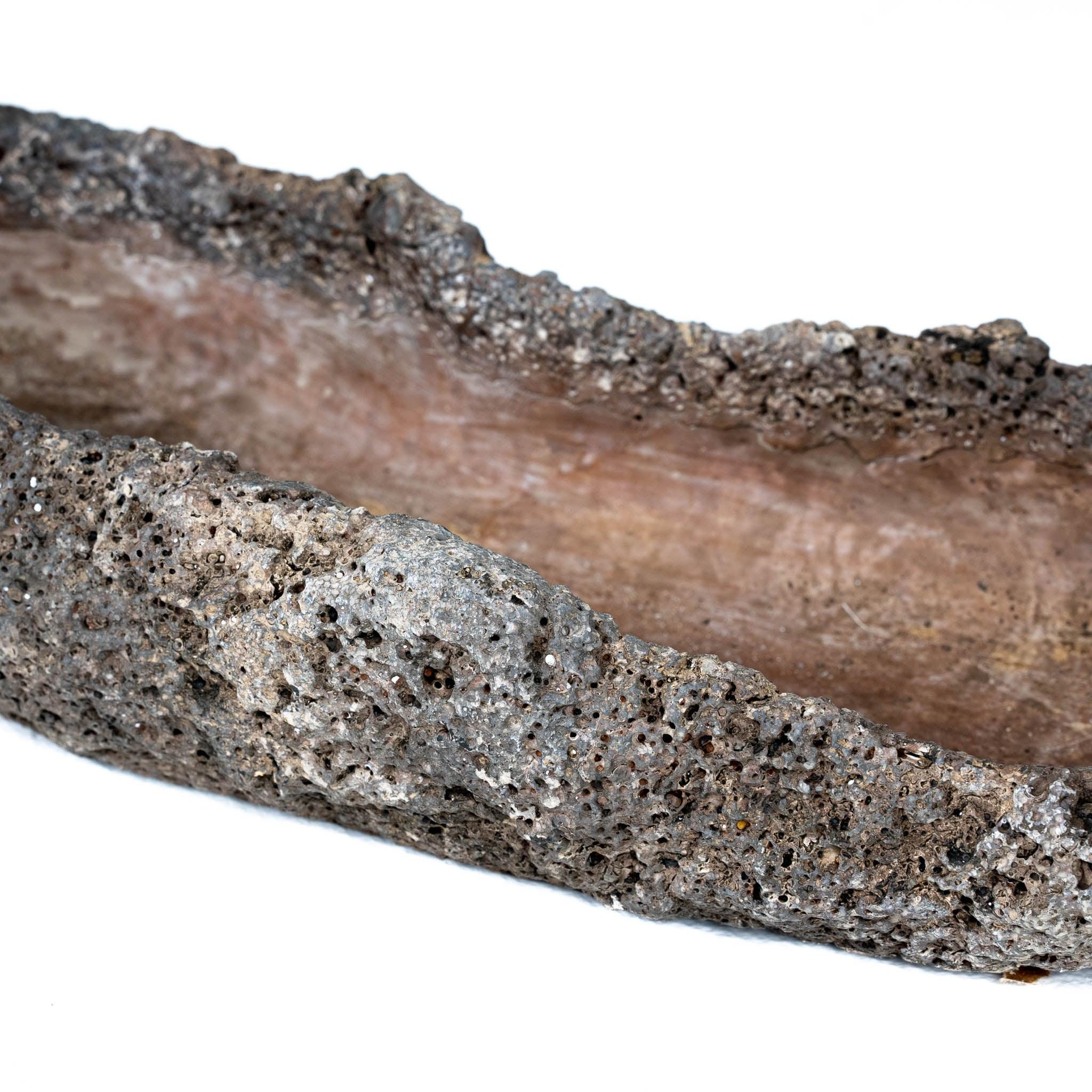 Maui Lava Stone Planter - Pure Salt Shoppe