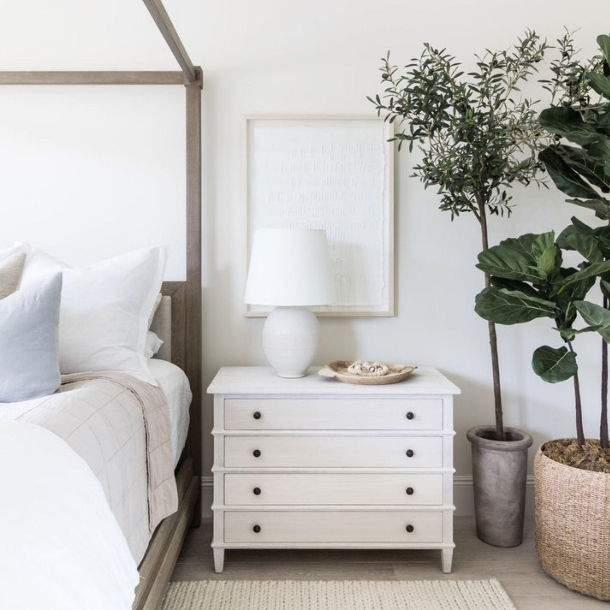 Olive Tree 7.5' - Pure Salt Shoppe