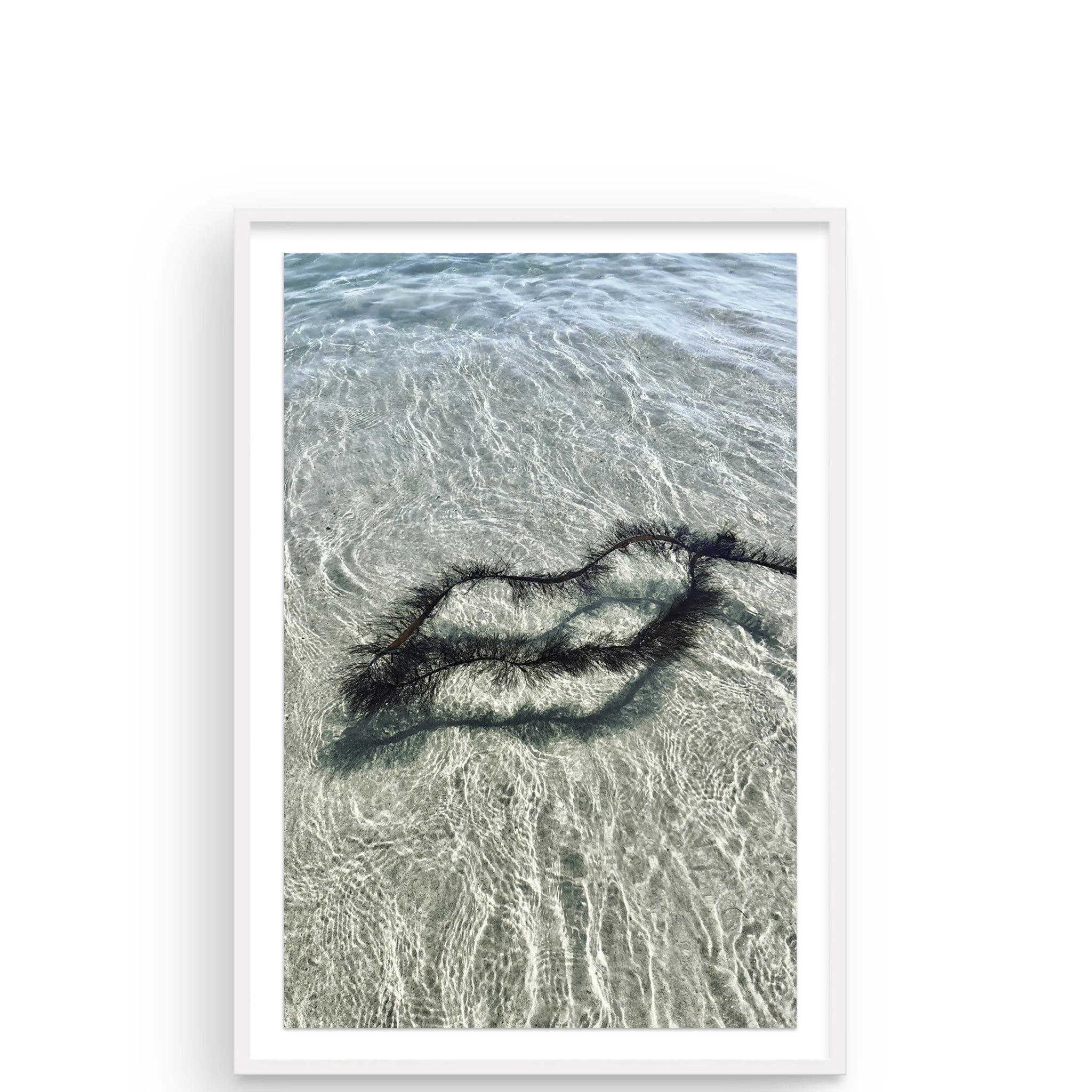 Pure by Jennifer Siani - Pure Salt Shoppe