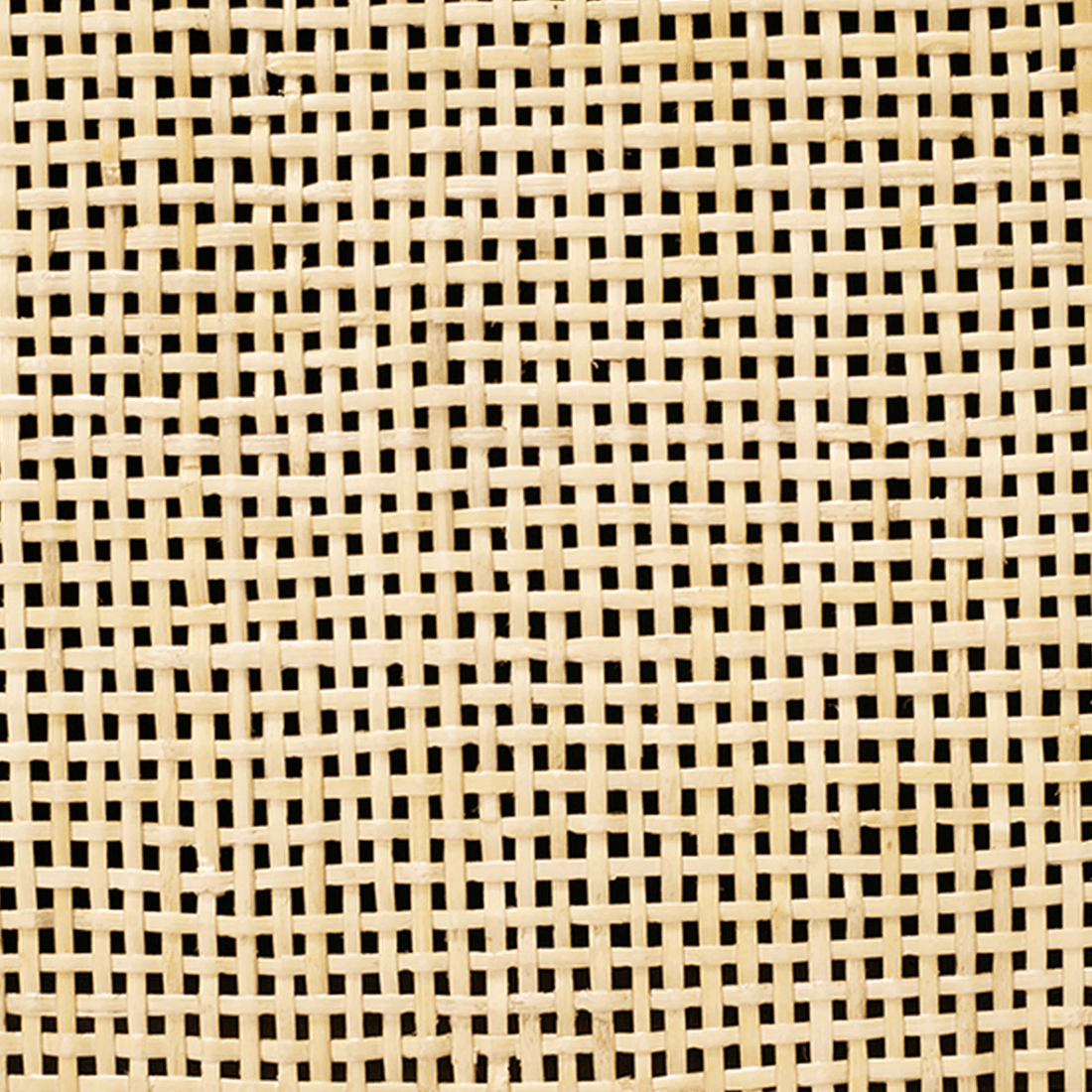 Rea Cabinet - Pure Salt Shoppe