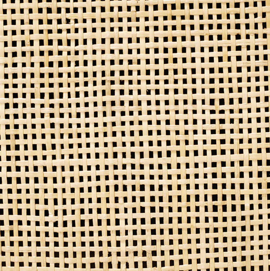 Rea Cabinet - Pure Salt Shoppe