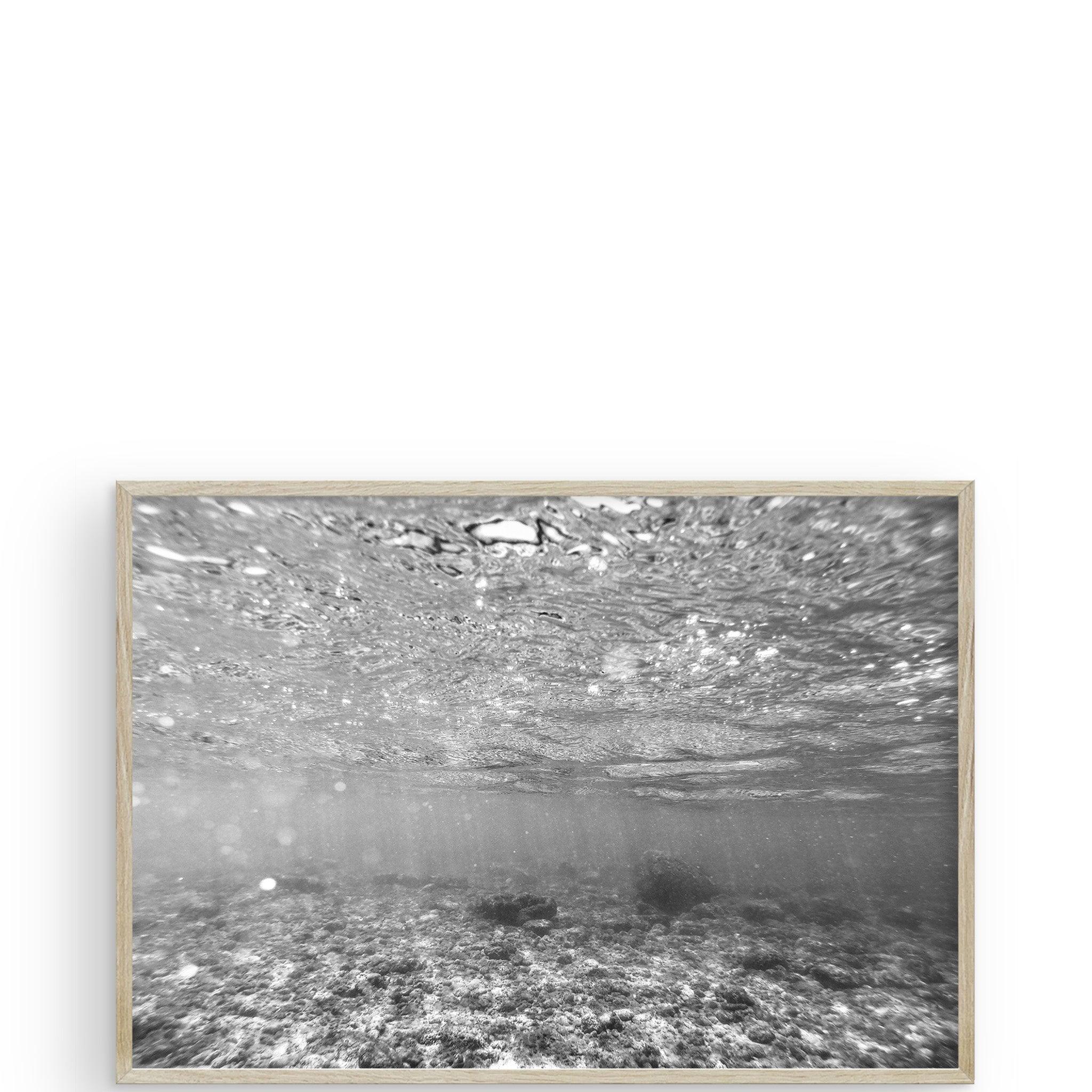 The Shallows Hawaii by Carly Tabak - Pure Salt Shoppe