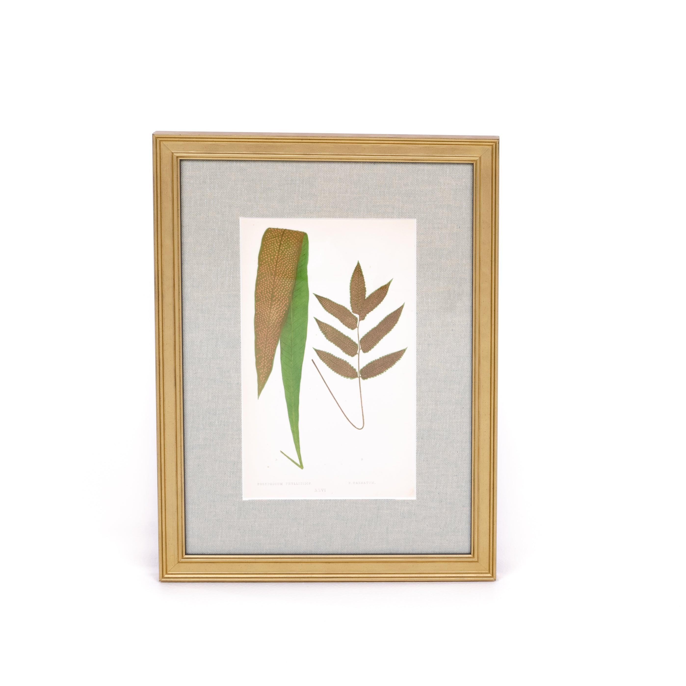 Two Leaves Print - Pure Salt Shoppe