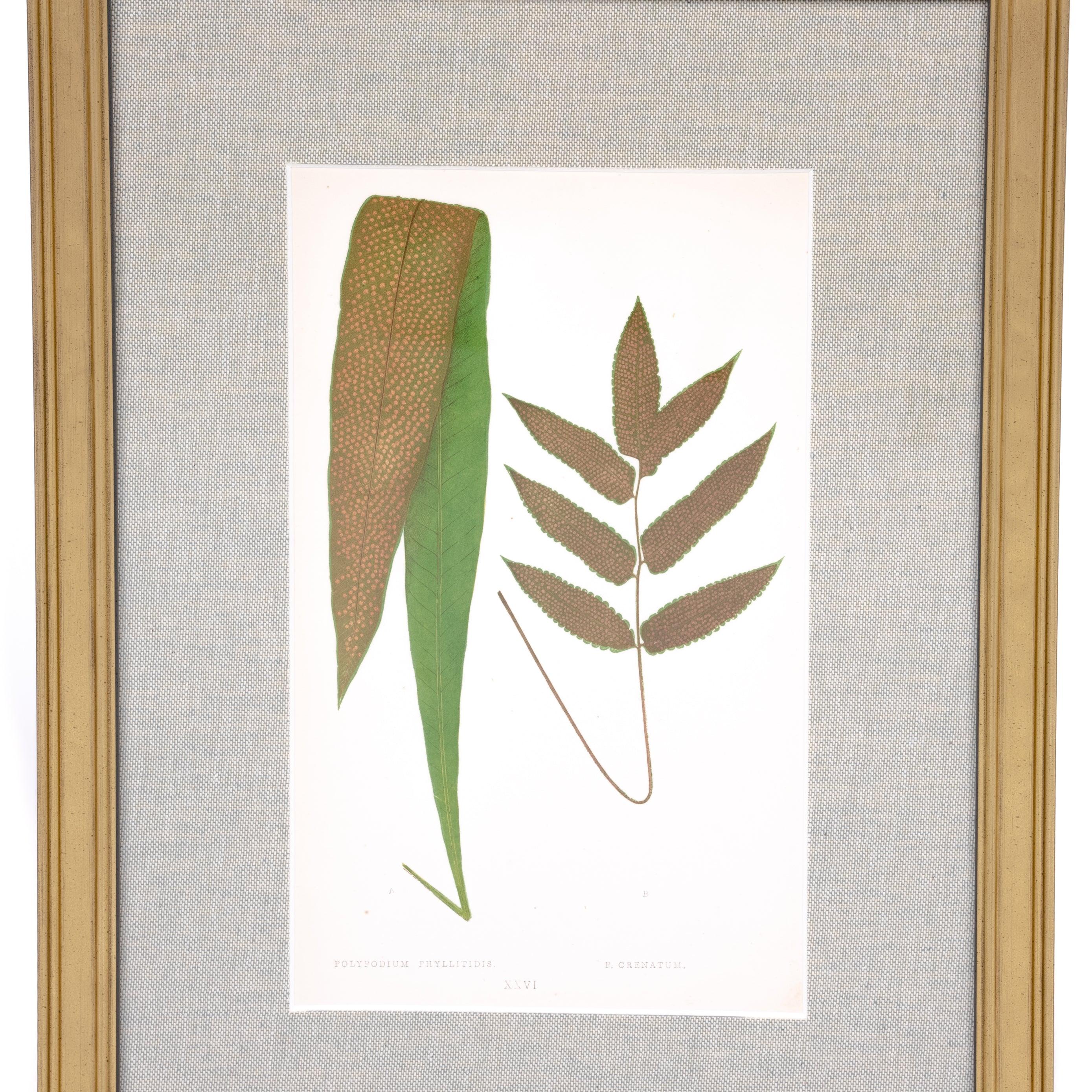 Two Leaves Print - Pure Salt Shoppe