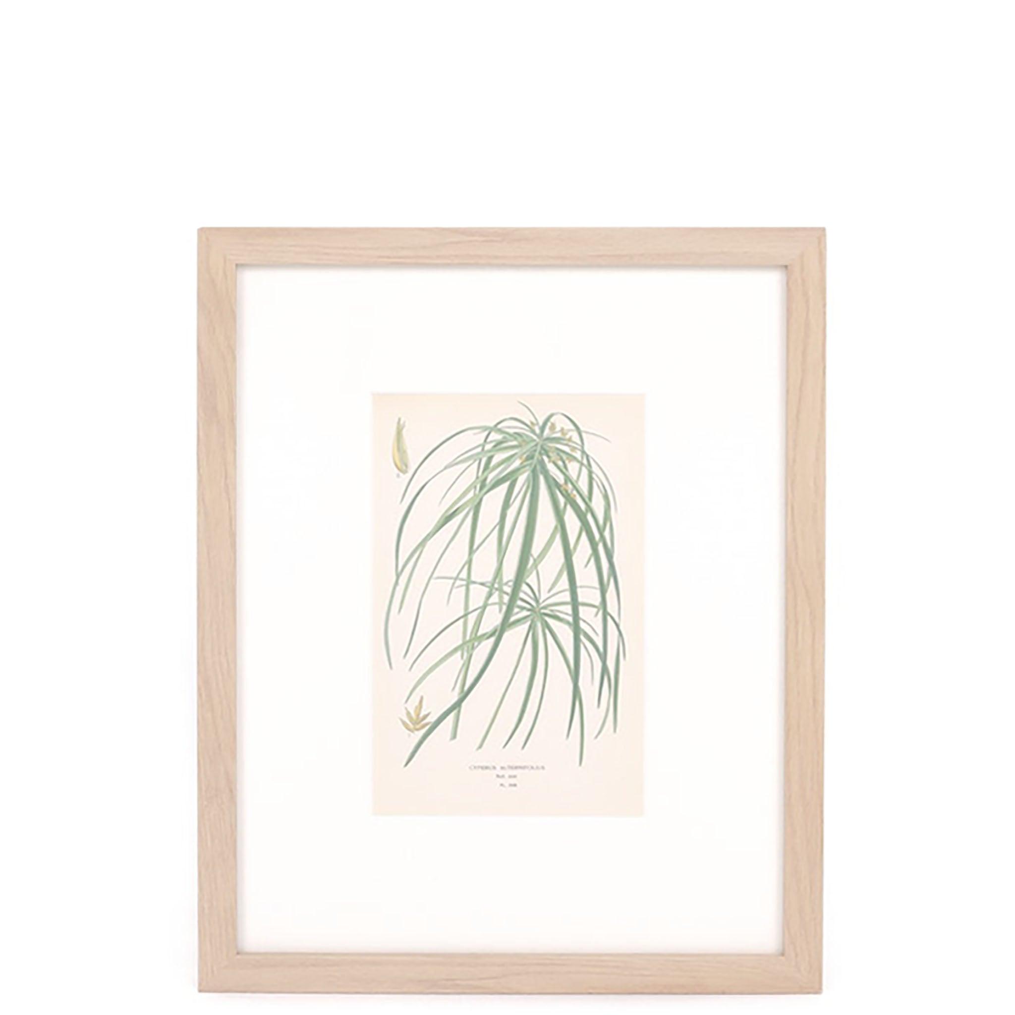 Umbrella Palm Print - Pure Salt Shoppe