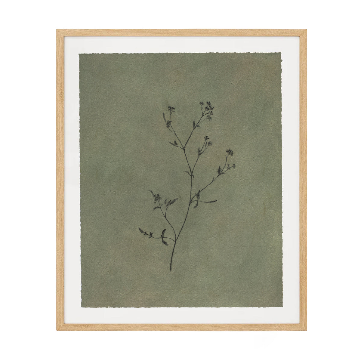 Wildflower III