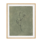 Wildflower I