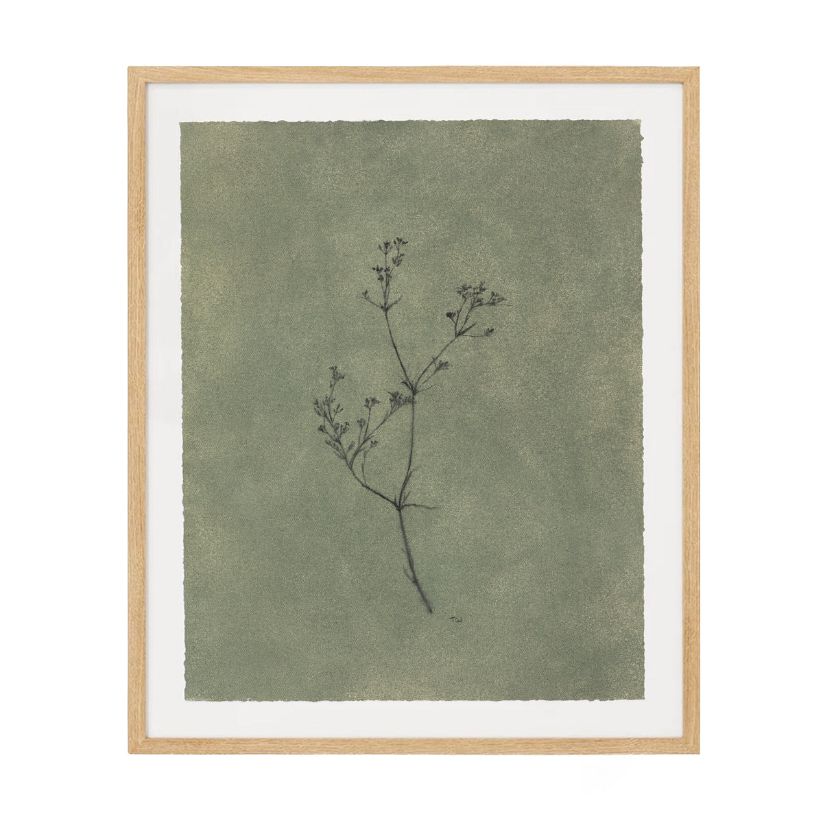 Wildflower I