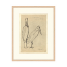 Bird Sketch