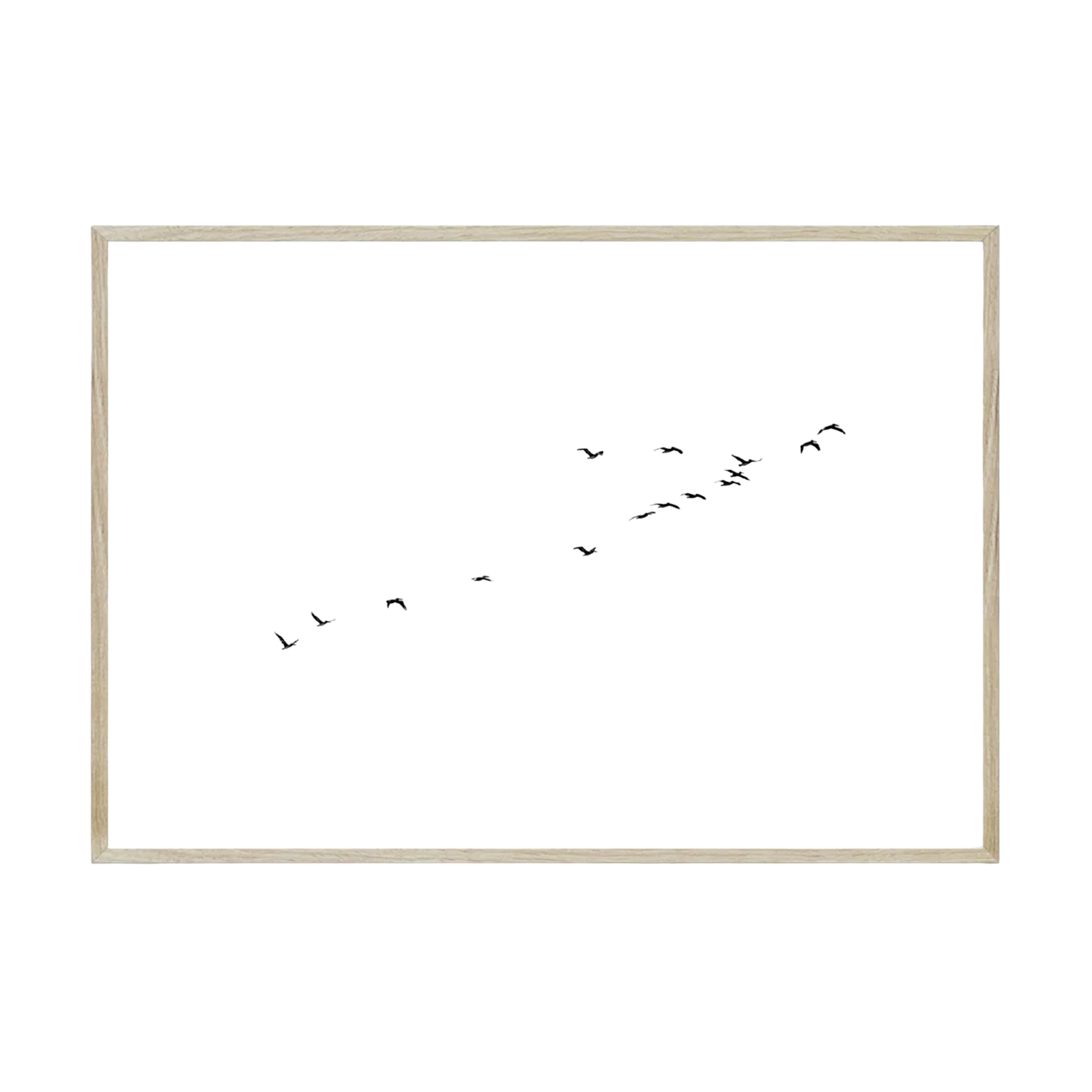 Birds of a Feather San Francisco by Carly Tabak