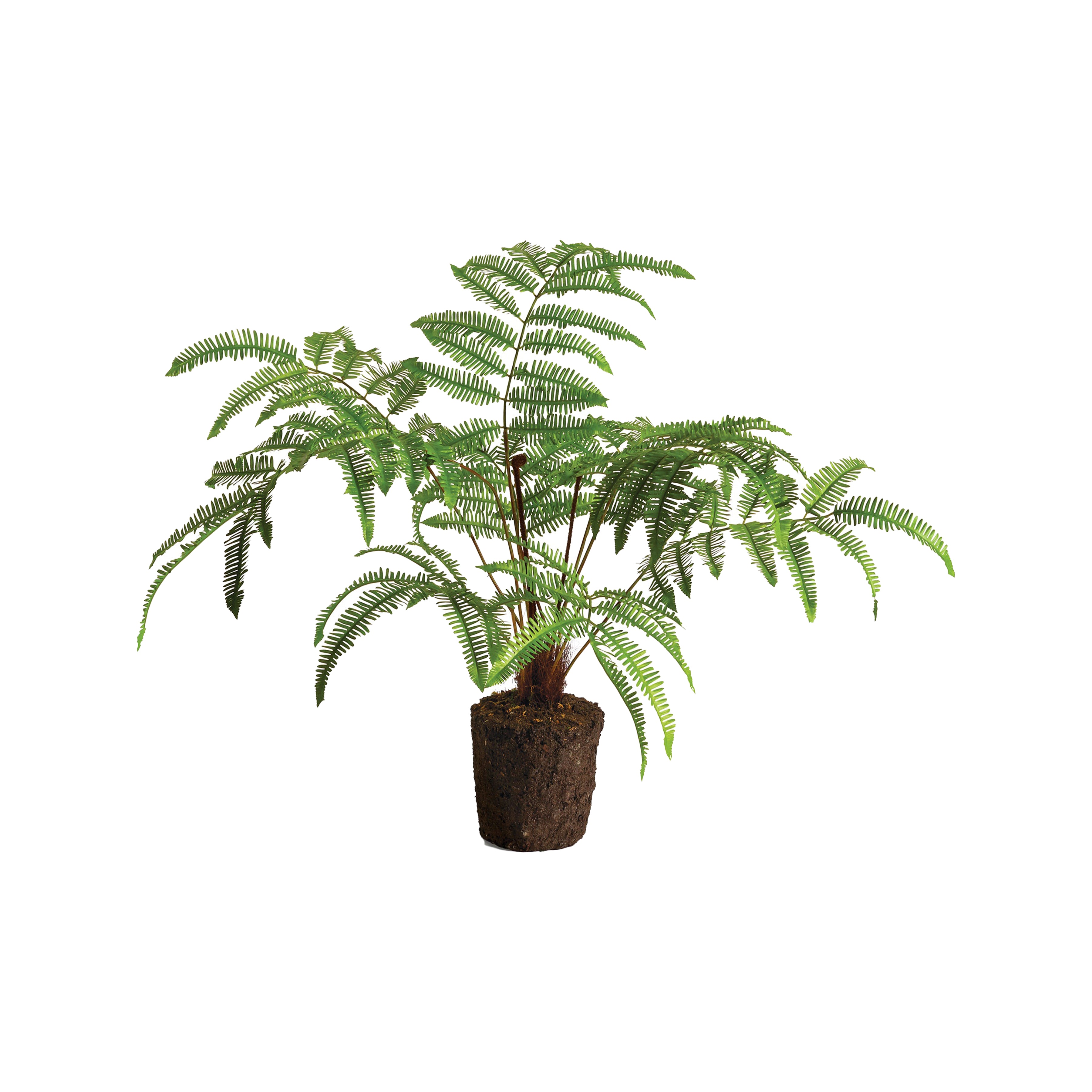 Forest Fern Drop-In 29.5"