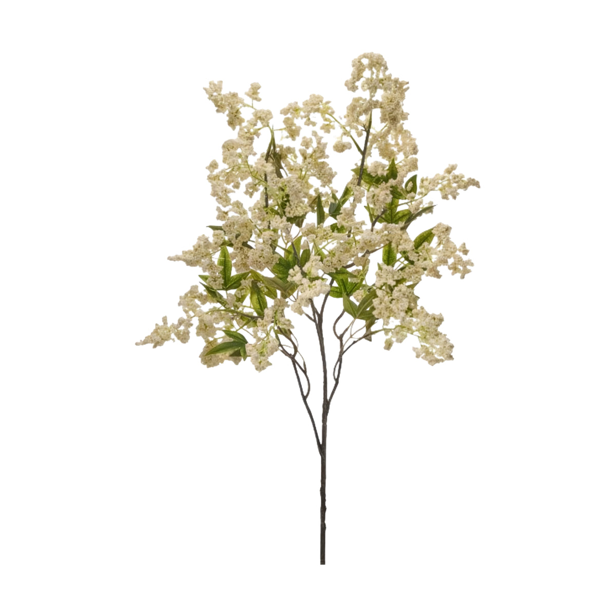 Cream Wild Plum Berry Branch - Pure Salt Shoppe