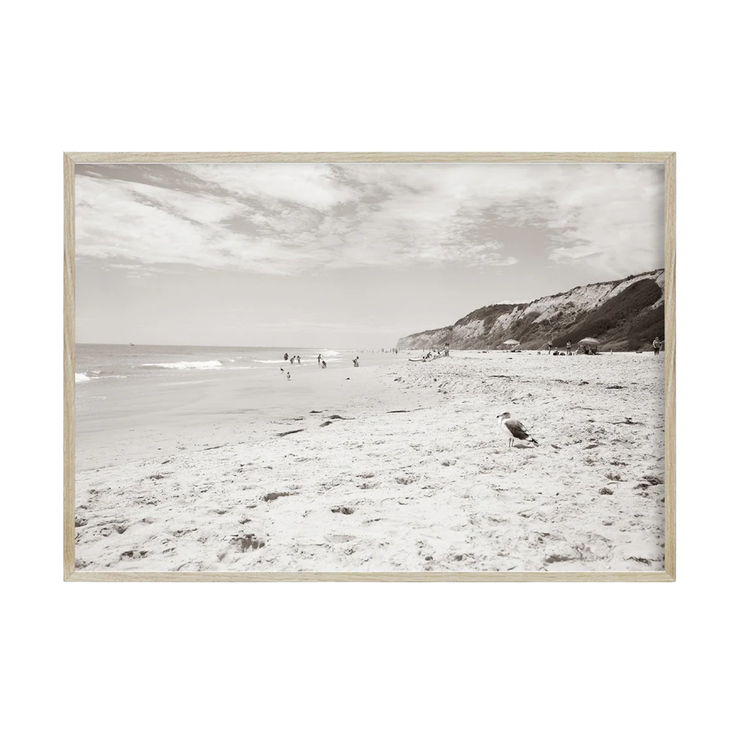 Crystal Cove Newport Beach CA by Carly Tabak