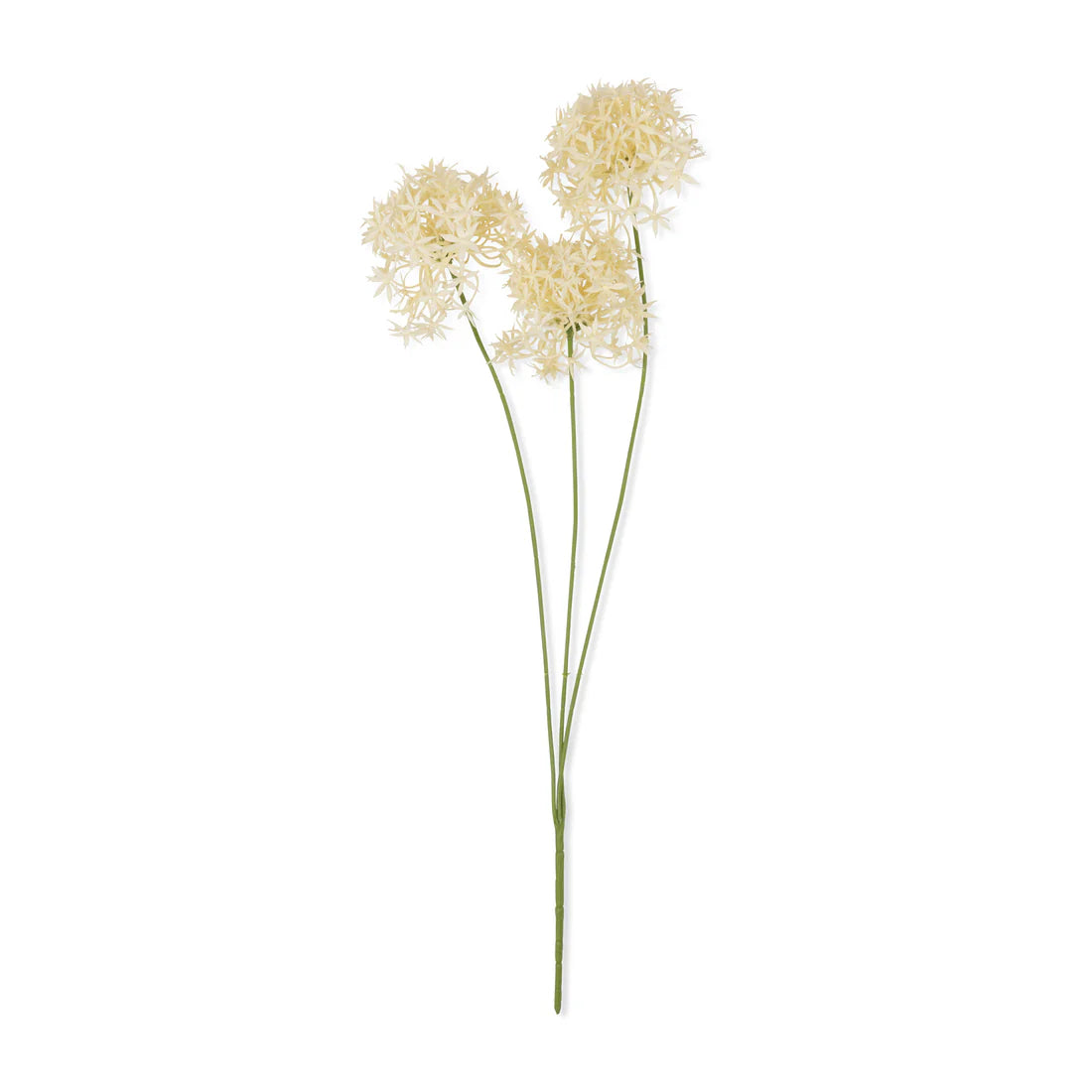 DriftblossomAlliumBunch