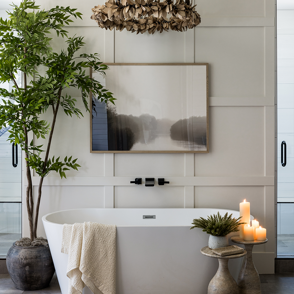 8' French Ficus in Vintage Clay Planter  -Pure Salt Shoppe