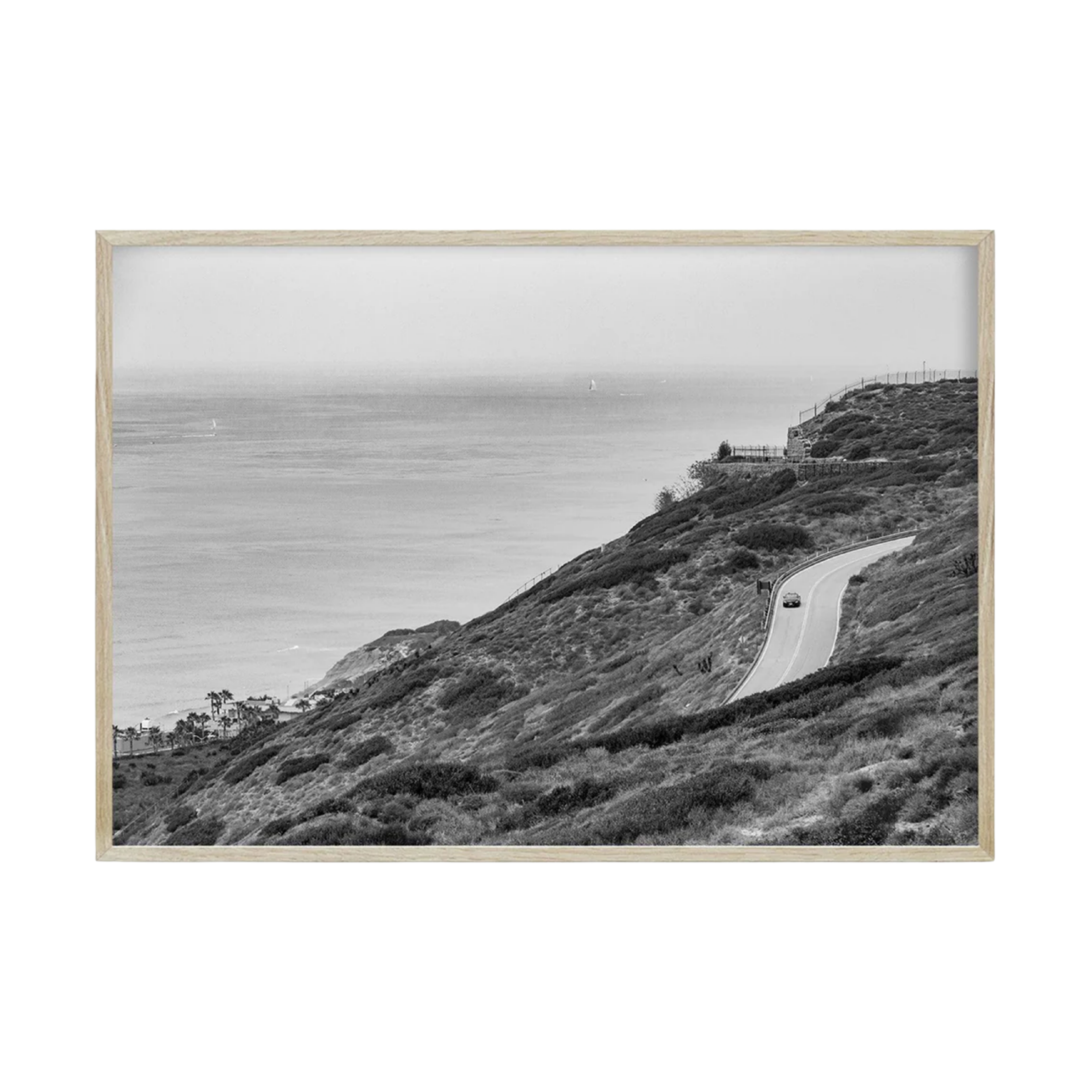 Highway 1 San Diego CA by Carly Tabak