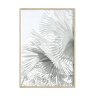 Mint Palms Hawaii by Carly Tabak