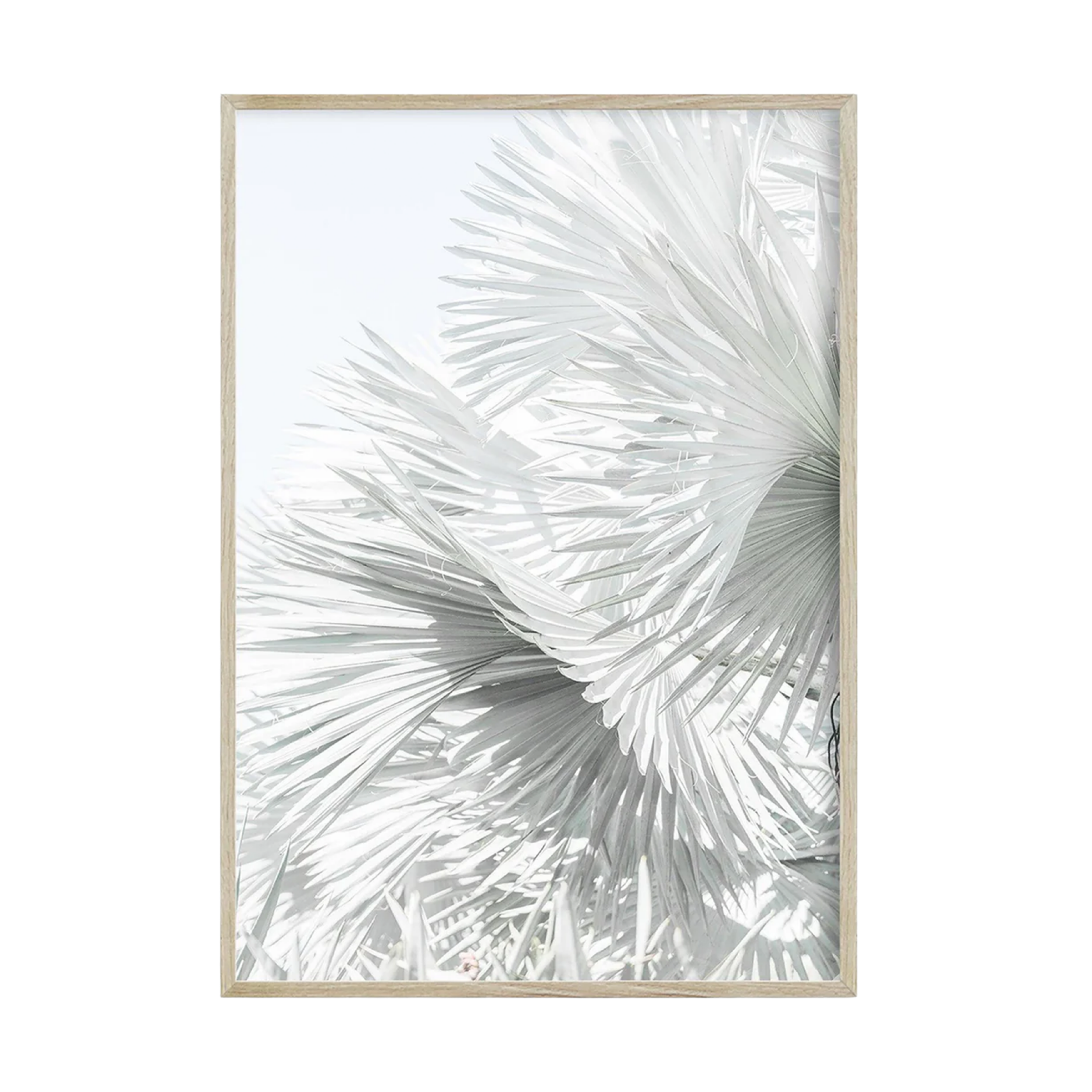 Mint Palms Hawaii by Carly Tabak