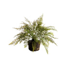 Soft Fern Drop-In 18.5"