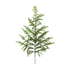 Norfolk Pine Branch -  Pure Salt Shoppe 