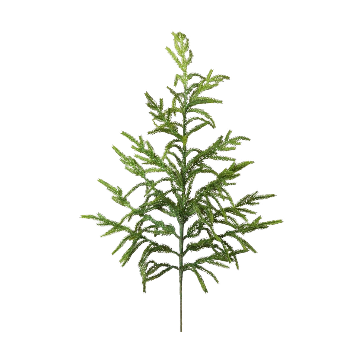 Norfolk Pine Branch -  Pure Salt Shoppe 
