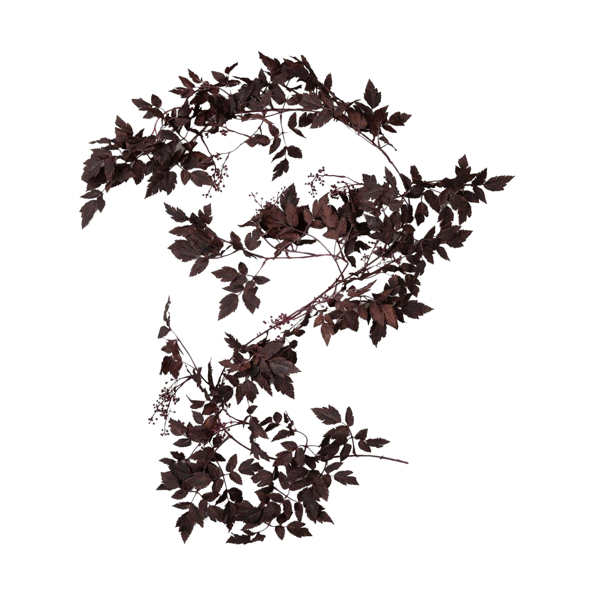 Plum Cimicifuga Seeded Garland - Pure salt Shoppe