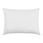 Premium Goose Down Sham Insert- Standard