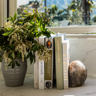Blue Rose Quartz Bookends